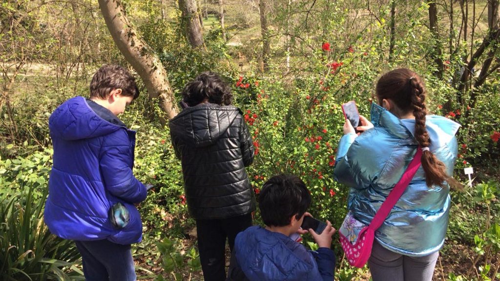 Ulus Kampüsü Ortaokul 5. sınıf öğrencilerimiz, Atatürk Arboretumu gezisine katılarak farklı bitki türlerini...