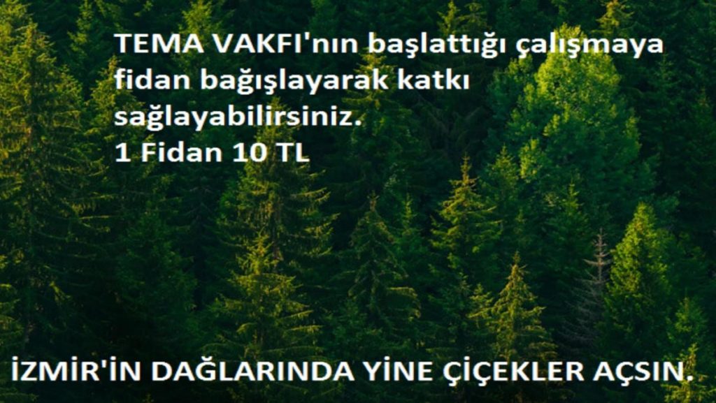 2019-2020 Eğitim -Öğretim yılının ilk Sosyal Sorumluluk projesine fidan bağışı ile başlıyoruz...