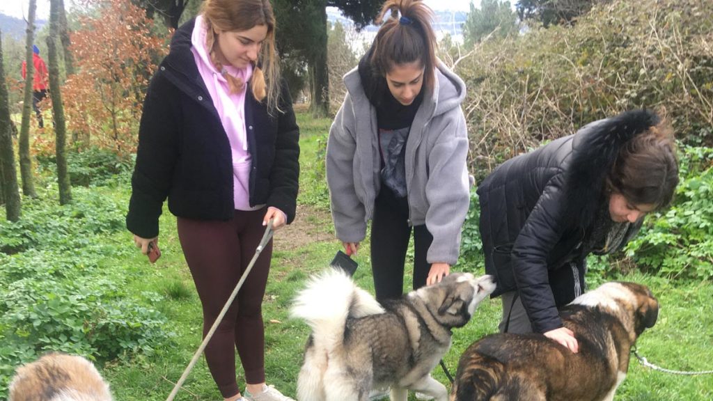 AnatoIe France’ın da dediği gibi 