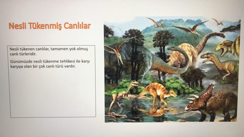 Ulus Kampüsü İlkokulu 1. sınıf öğrencilerimizle, “Gezegeni Paylaşma” sorgulama temamız...
