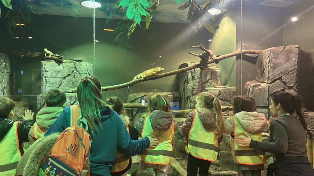 Ulus Kampüsü Anaokulumuzda 3 Yaş grubu ile PYP “Gezegeni Paylaşma” temamız kapsamında, doğadaki canlıları yakından tanımak...